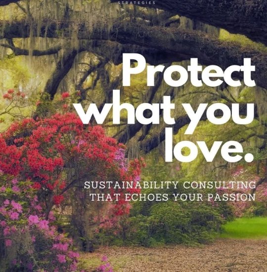 Eco-Friendly Projects