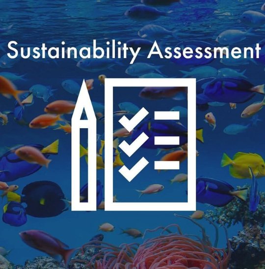 Environmental Responsibility